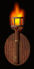 Animated Torch Image